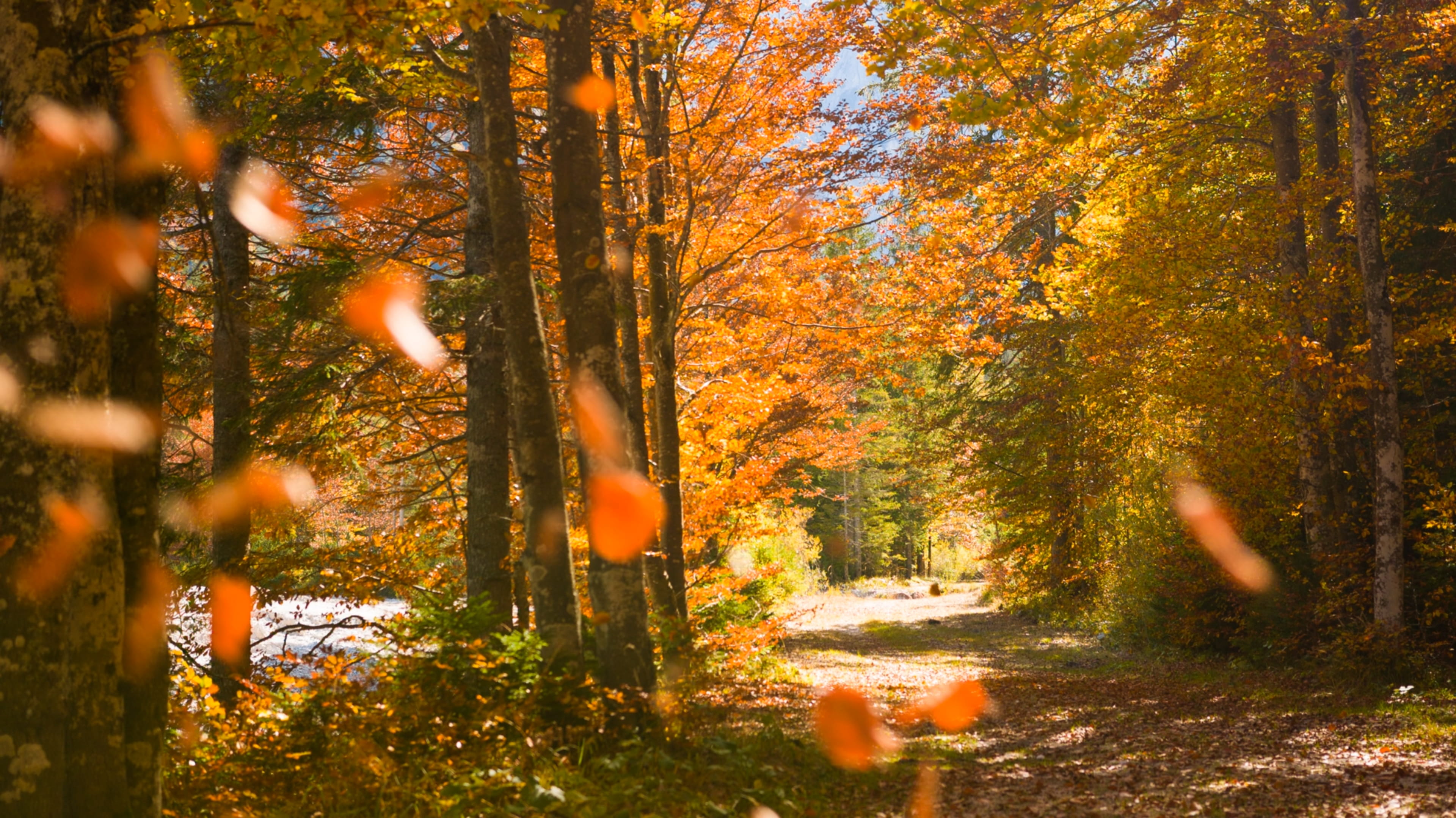 ZEN STYLE AUTUMN