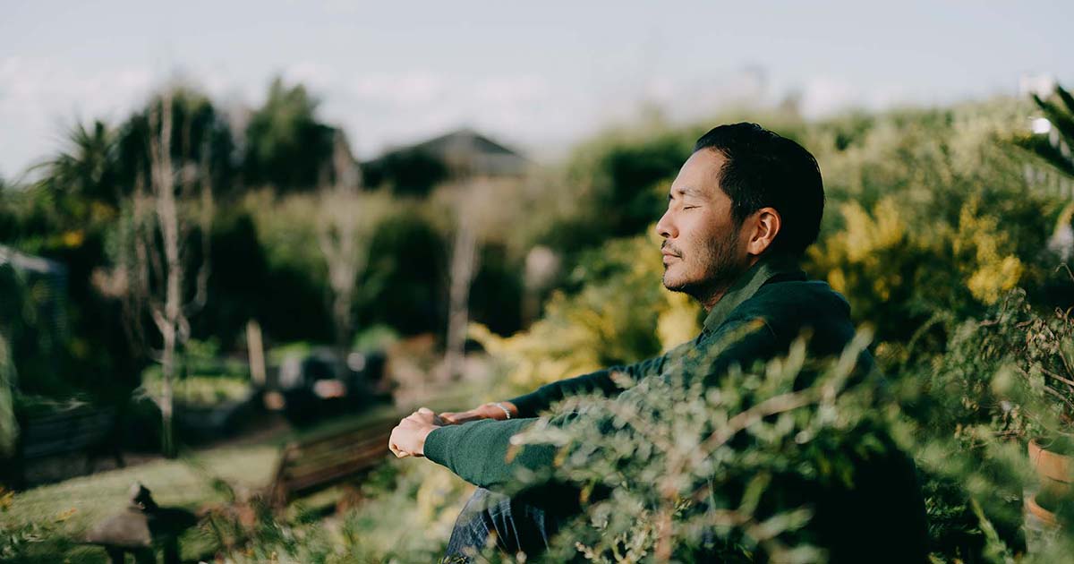 Widex Zen Proven tinnitus sound therapy Widex Pro Widex Pro